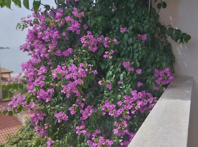 Aparthotel Nonna Marija Seven Rovinj