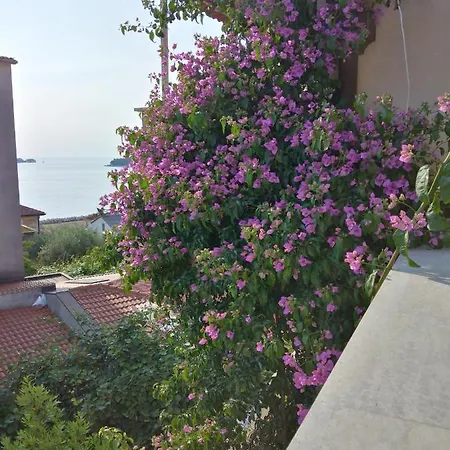 Luna Tsuki Seven Apart Otel *