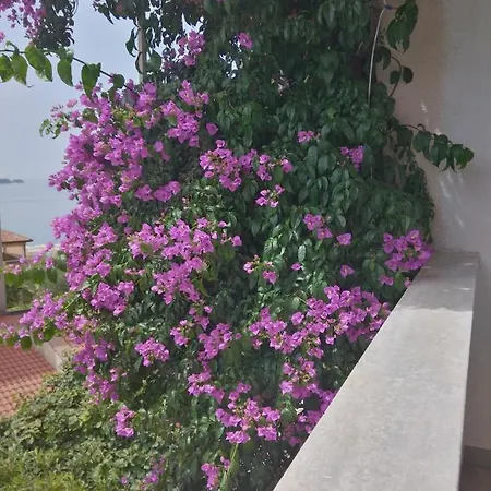 Apart Otel Luna Tsuki Seven Rovinj